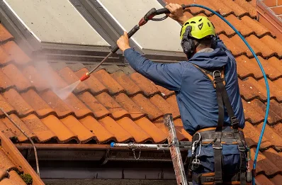 Démoussage et hydrofuge de toiture à Larée